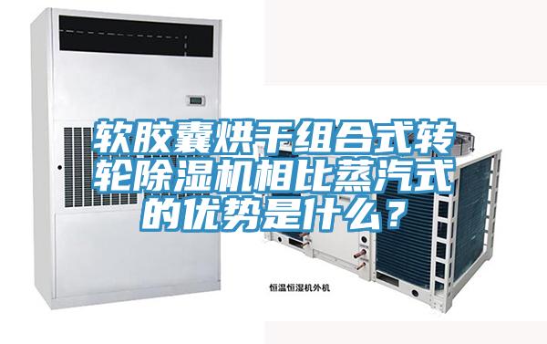 软胶囊烘干组合式转轮蕾丝视频污污污相比蒸汽式的优势是什么？