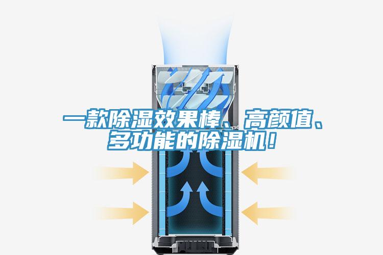一款除湿效果棒、高颜值、多功能的蕾丝视频污污污！