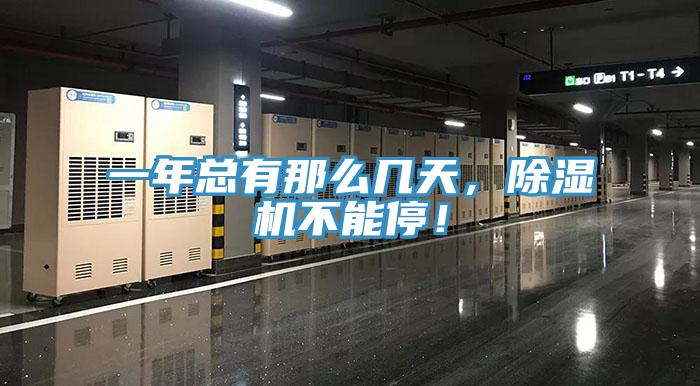 一年总有那么几天，蕾丝视频污污污不能停！
