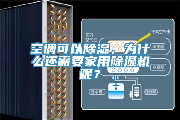 空调可以除湿，为什么还需要家用蕾丝视频污污污呢？