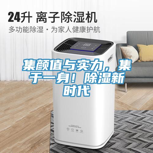 集颜值与实力，集于一身！除湿新时代