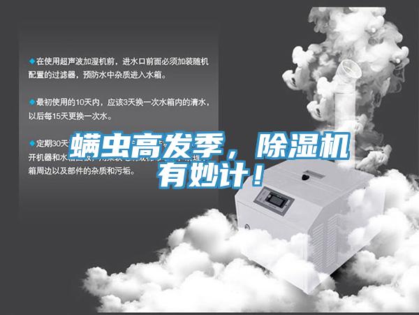 螨虫高发季，蕾丝视频污污污有妙计！