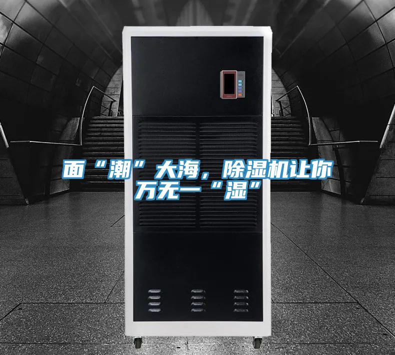 面“潮”大海，蕾丝视频污污污让你万无一“湿”