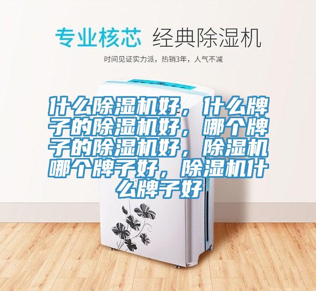 什么蕾丝视频污污污好，什么牌子的蕾丝视频污污污好，哪个牌子的蕾丝视频污污污好，蕾丝视频污污污哪个牌子好，蕾丝视频污污污什么牌子好