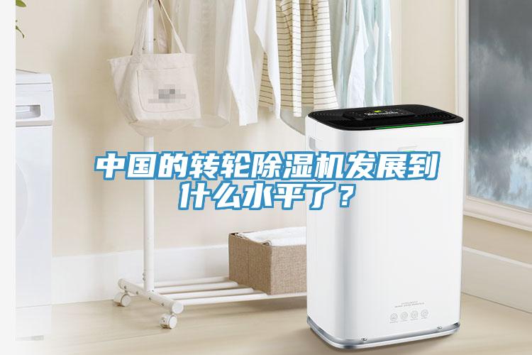 中国的转轮蕾丝视频污污污发展到什么水平了？