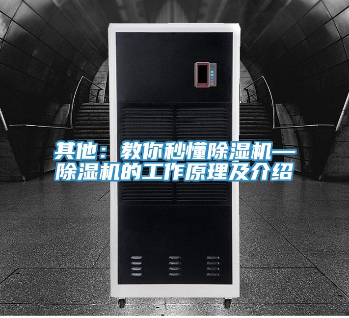 其他：教你秒懂蕾丝视频污污污—蕾丝视频污污污的工作原理及介绍