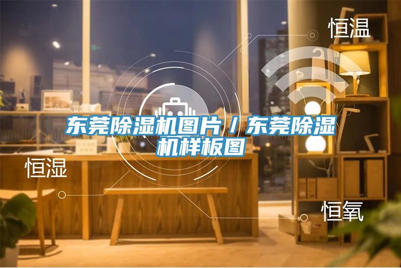 东莞蕾丝视频污污污图片／东莞蕾丝视频污污污样板图