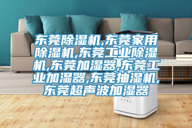 东莞蕾丝视频污污污,东莞家用蕾丝视频污污污,东莞工业蕾丝视频污污污,东莞加湿器,东莞工业加湿器,东莞抽湿机,东莞超声波加湿器