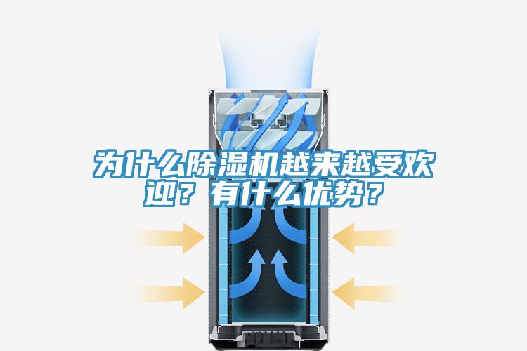 为什么蕾丝视频污污污越来越受欢迎？有什么优势？