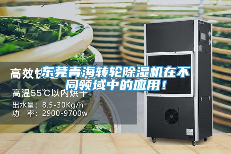 东莞青海转轮蕾丝视频污污污在不同领域中的应用！