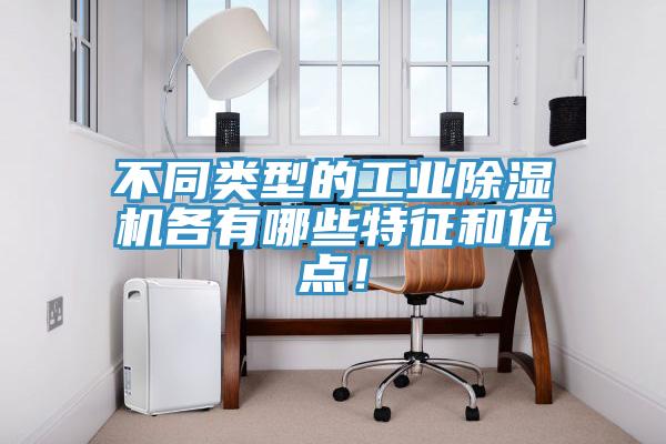 不同类型的工业蕾丝视频污污污各有哪些特征和优点！