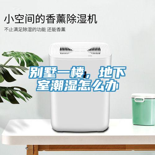别墅一楼，地下室潮湿怎么办