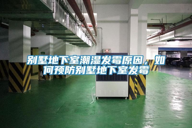 别墅地下室潮湿发霉原因，如何预防别墅地下室发霉
