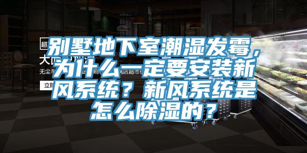 别墅地下室潮湿发霉，为什么一定要安装新风系统？新风系统是怎么除湿的？