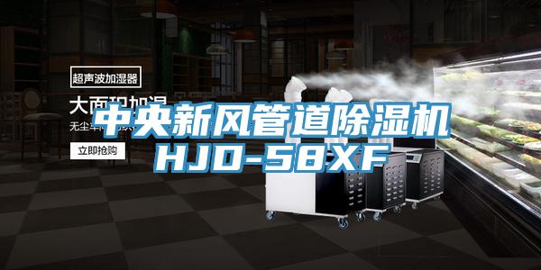 中央新风管道蕾丝视频污污污HJD-58XF