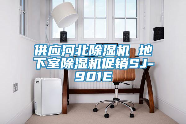供应河北蕾丝视频污污污 地下室蕾丝视频污污污促销SJ-901E