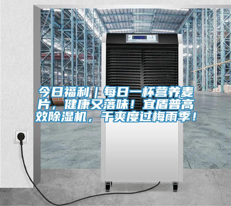 今日福利｜每日一杯营养麦片，健康又落味！宜盾普高效蕾丝视频污污污，干爽度过梅雨季！