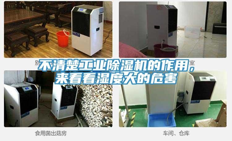 不清楚工业蕾丝视频污污污的作用，来看看湿度大的危害