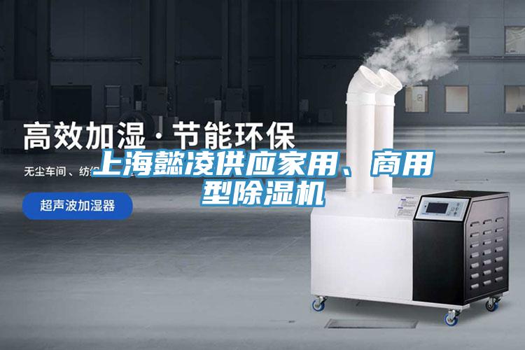 上海懿凌供应家用、商用型蕾丝视频污污污