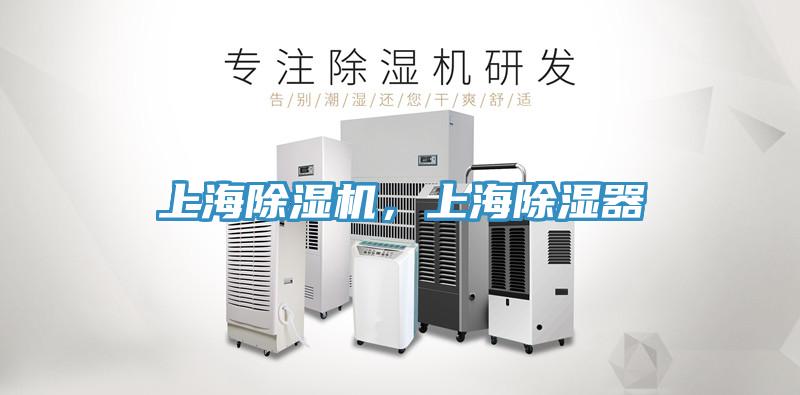 上海蕾丝视频污污污，上海除湿器