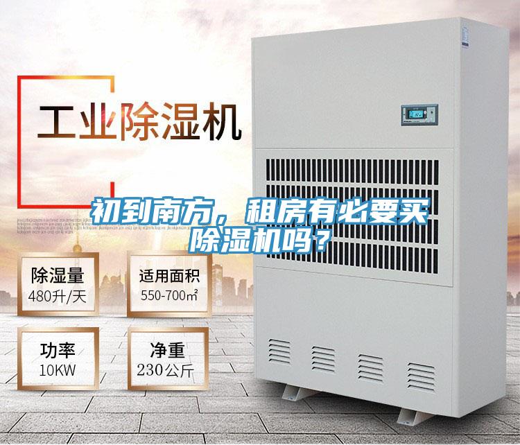 初到南方，租房有必要买蕾丝视频污污污吗？