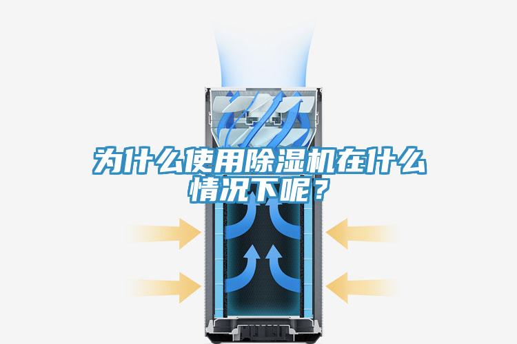 为什么使用蕾丝视频污污污在什么情况下呢？