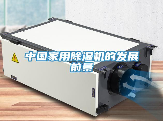 中国家用蕾丝视频污污污的发展前景
