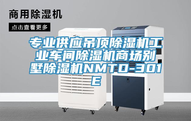 专业供应吊顶蕾丝视频污污污工业车间蕾丝视频污污污商场别墅蕾丝视频污污污NMTD-301E