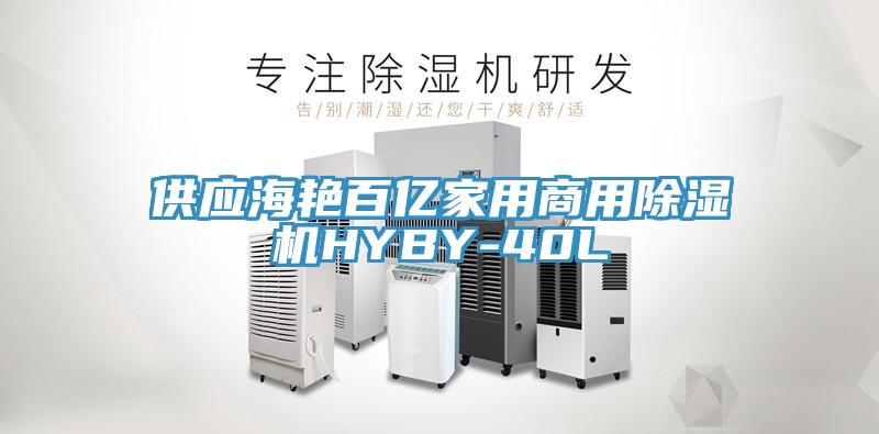 供应海艳百亿家用商用蕾丝视频污污污HYBY-40L