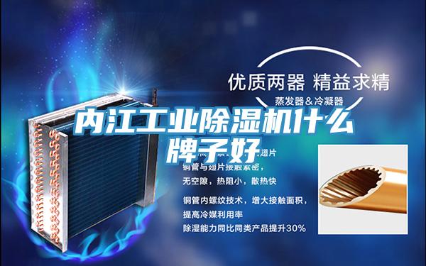 内江工业蕾丝视频污污污什么牌子好