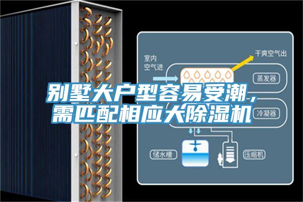 别墅大户型容易受潮，需匹配相应大蕾丝视频污污污