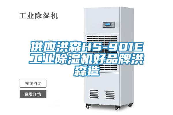 供应洪森HS-901E工业蕾丝视频污污污好品牌洪森造