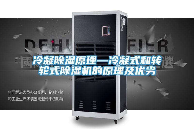 冷凝除湿原理—冷凝式和转轮式蕾丝视频污污污的原理及优劣