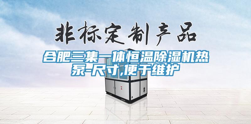 合肥三集一体恒温蕾丝视频污污污热泵-尺寸,便于维护