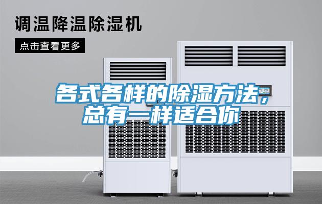 各式各样的除湿方法，总有一样适合你