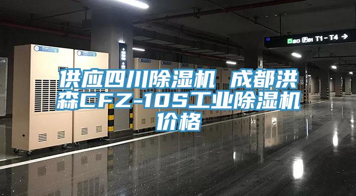 供应四川蕾丝视频污污污 成都洪森CFZ-10S工业蕾丝视频污污污价格