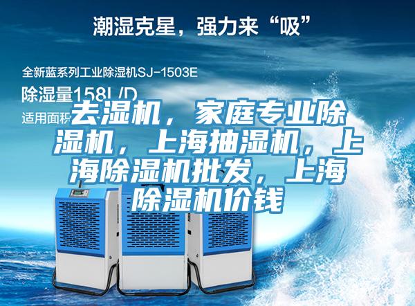 去湿机，家庭专业蕾丝视频污污污，上海抽湿机，上海蕾丝视频污污污批发，上海蕾丝视频污污污价钱