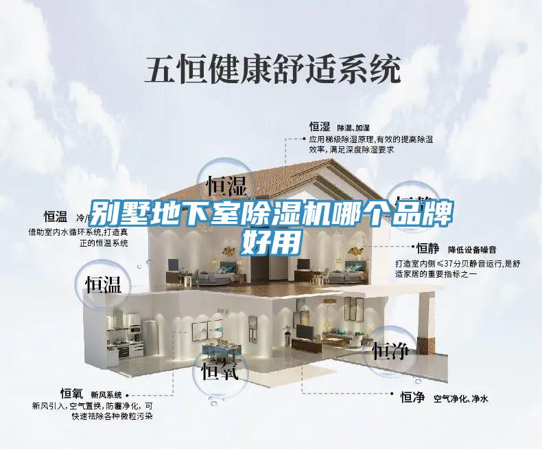 别墅地下室蕾丝视频污污污哪个品牌好用