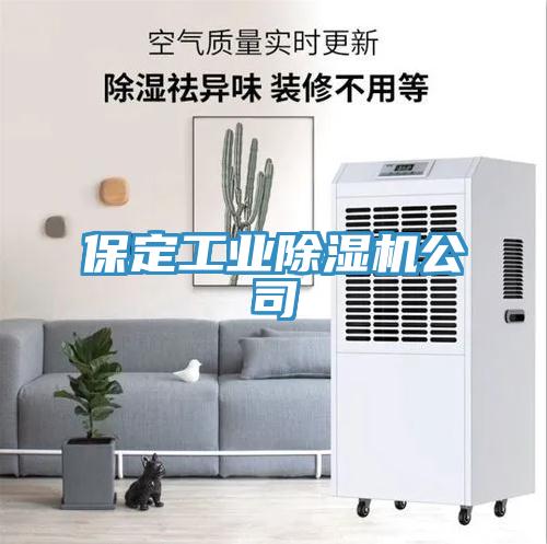 保定工业蕾丝视频污污污公司