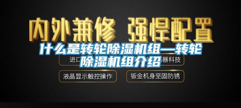 什么是转轮蕾丝视频污污污组—转轮蕾丝视频污污污组介绍