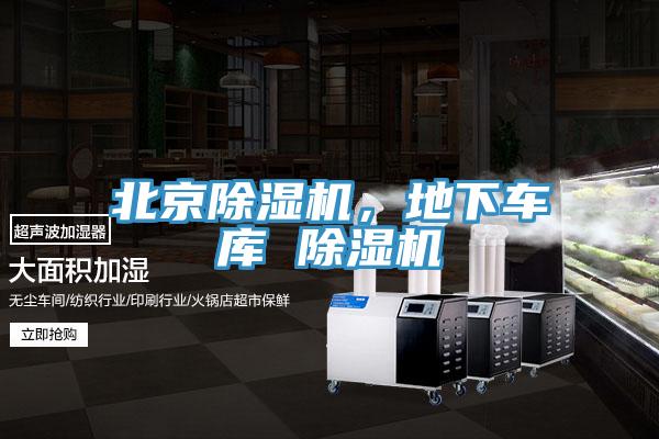 北京蕾丝视频污污污，地下车库 蕾丝视频污污污