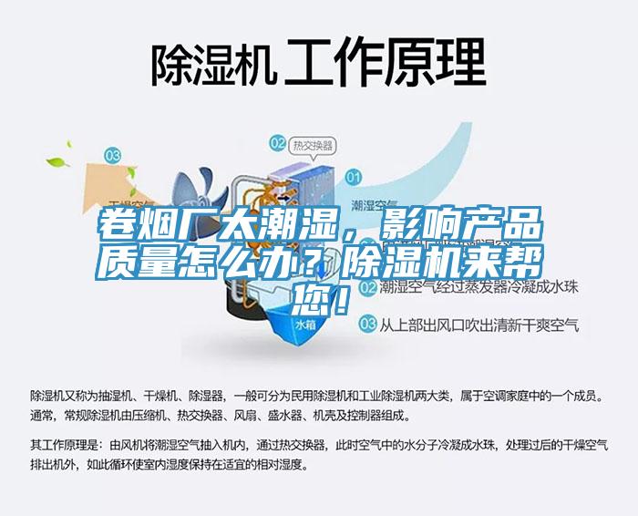 卷烟厂太潮湿，影响产品质量怎么办？蕾丝视频污污污来帮您！