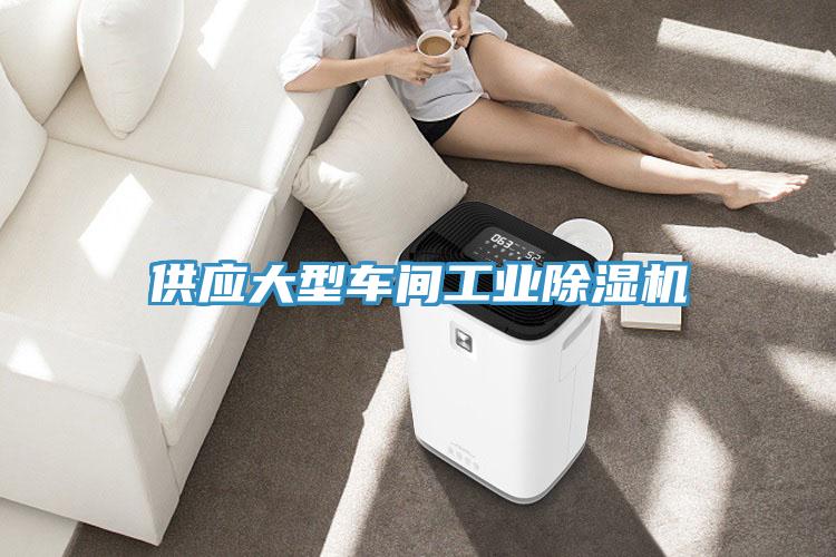 供应大型车间工业蕾丝视频污污污