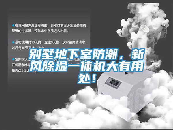 别墅地下室防潮，新风除湿一体机大有用处！