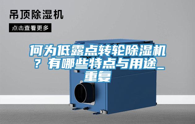 何为低露点转轮蕾丝视频污污污？有哪些特点与用途_重复