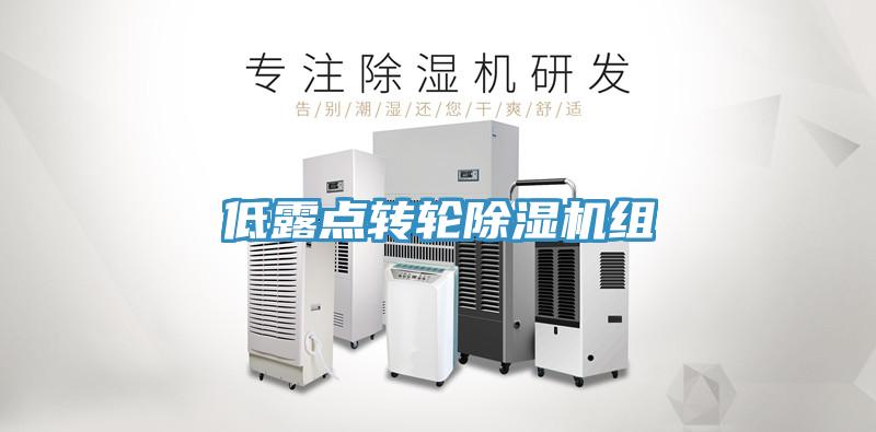 低露点转轮蕾丝视频污污污组