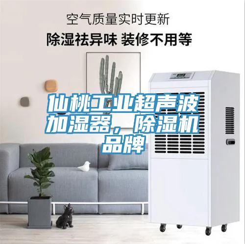 仙桃工业超声波加湿器，蕾丝视频污污污品牌