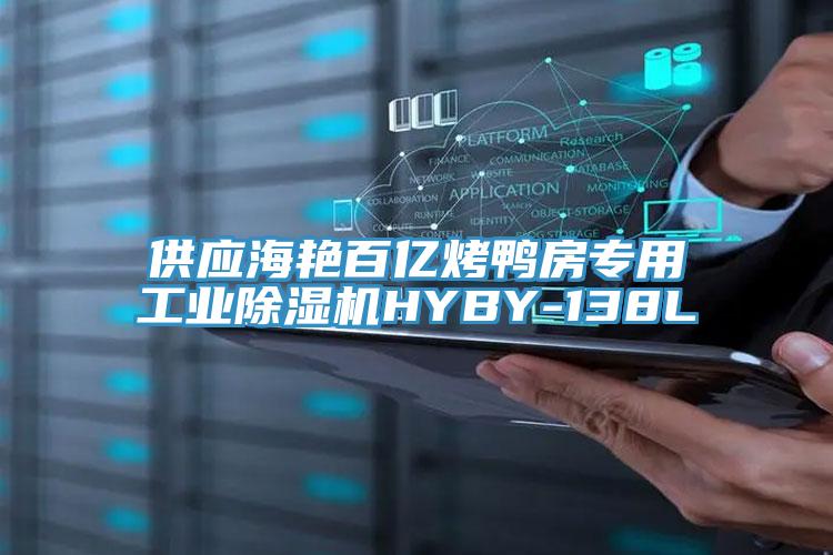 供应海艳百亿烤鸭房专用工业蕾丝视频污污污HYBY-138L