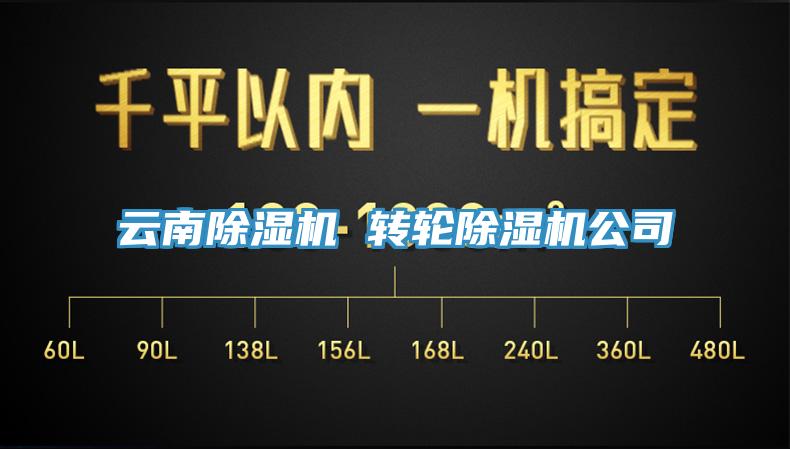 云南蕾丝视频污污污 转轮蕾丝视频污污污公司