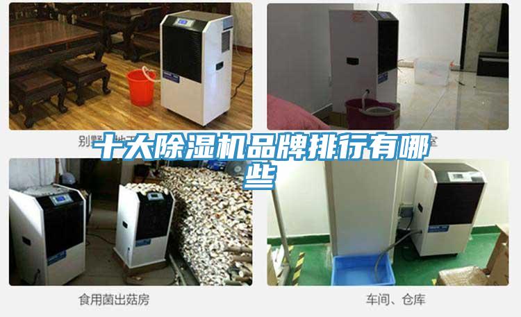 十大蕾丝视频污污污品牌排行有哪些